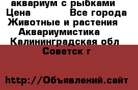 аквариум с рыбками › Цена ­ 1 000 - Все города Животные и растения » Аквариумистика   . Калининградская обл.,Советск г.